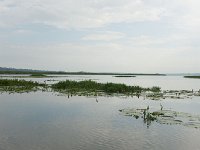 DSC5804