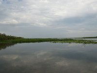 DSC5806