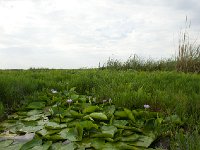 DSC5812