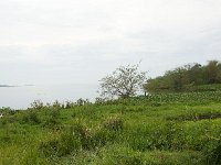 DSC5814