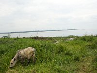 DSC5815