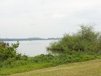 DSC5817