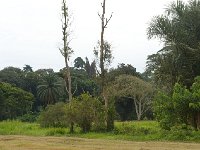 DSC5818