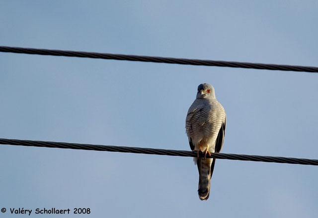 Photographie