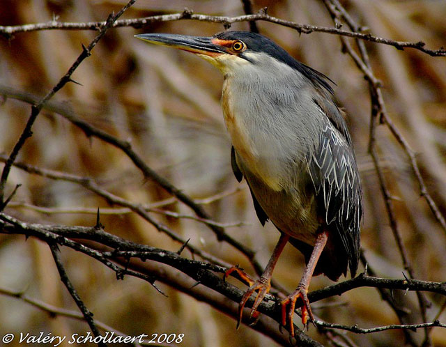 Photographie