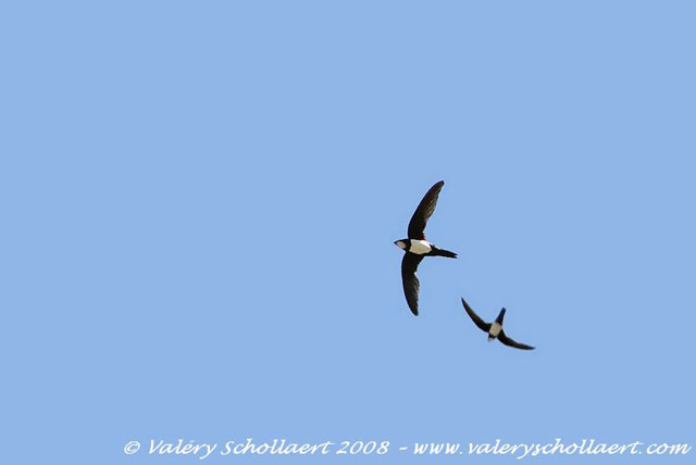 Photographie
